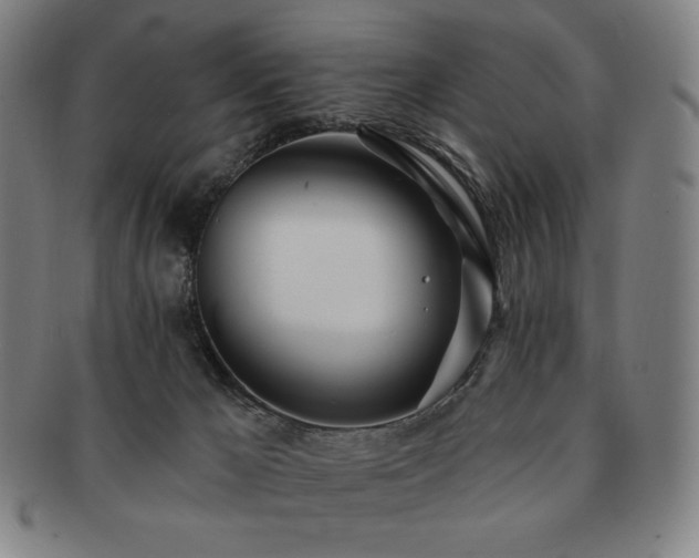 X0000091470029200708231348