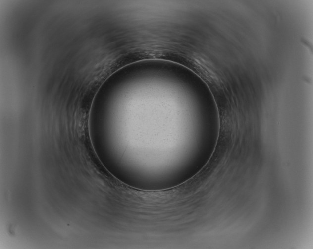 X0000091470030200708231348