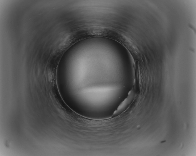 X0000091470031200708231348