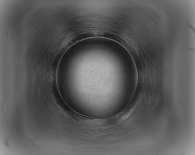 X0000091470032200708231348