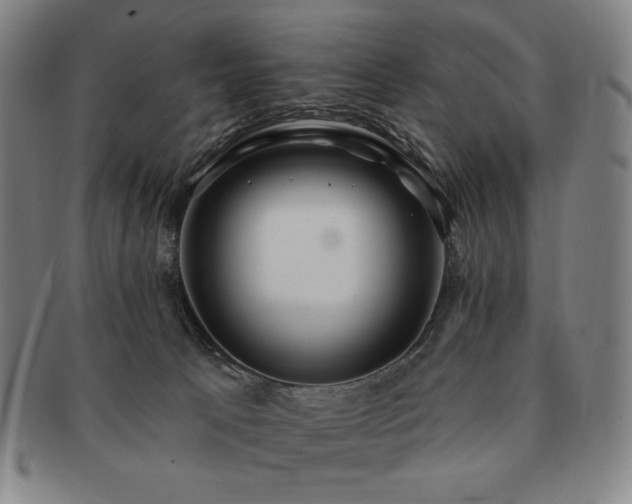 X0000091470033200708231348