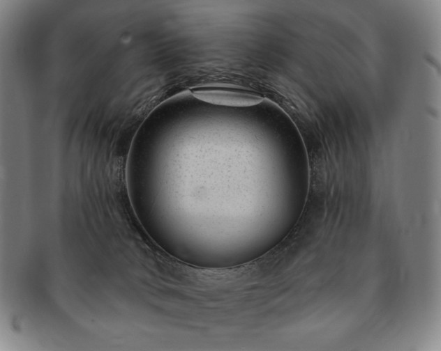 X0000091470034200708231348