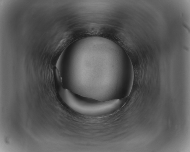 X0000091470035200708231348