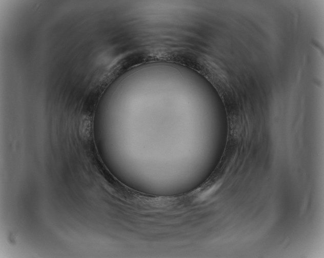 X0000091470036200708231348