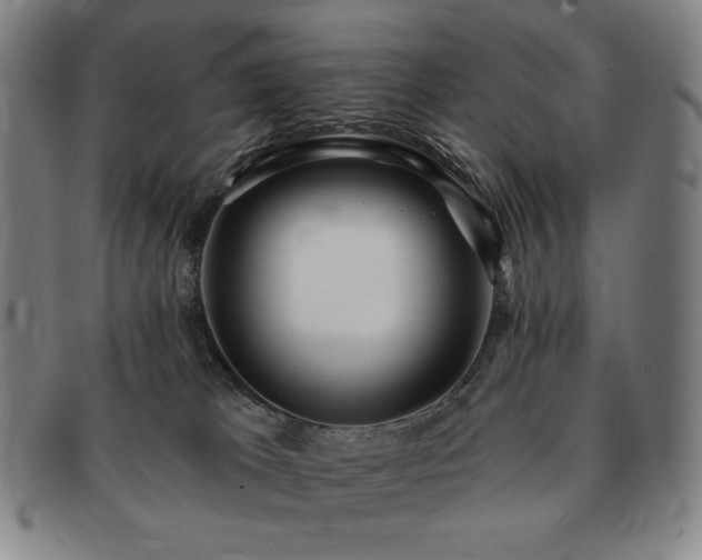 X0000091470037200708231348