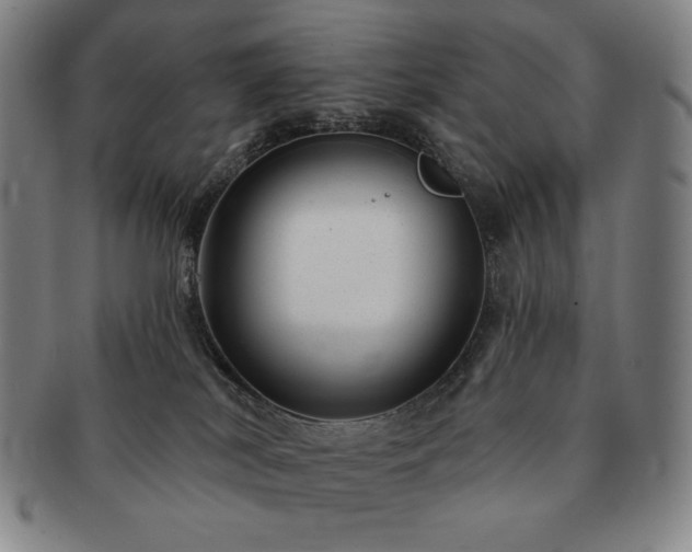 X0000091470038200708231348