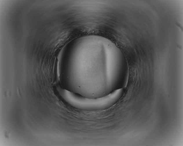 X0000091470039200708231348