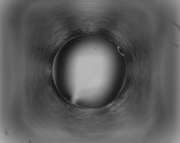 X0000091470040200708231348