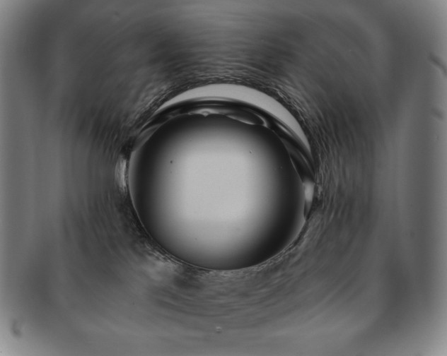 X0000091470041200708231348