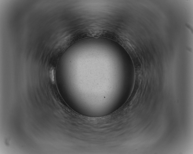 X0000091470042200708231348