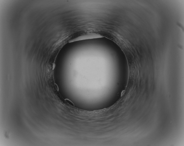 X0000091470043200708231348