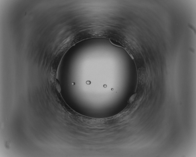 X0000091470044200708231348