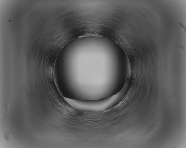 X0000091470045200708231348