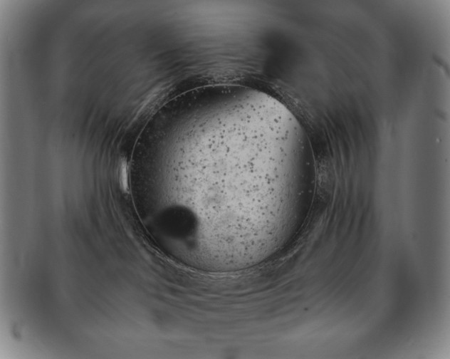 X0000091470046200708231348