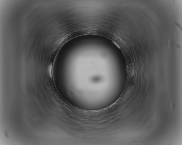 X0000091470047200708231348