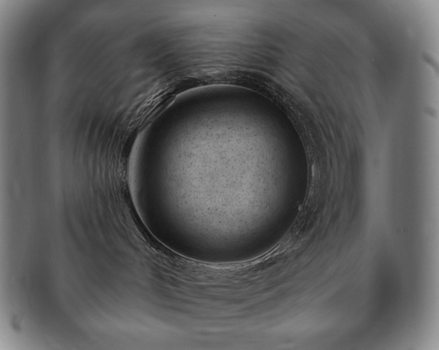 X0000091470048200708231348