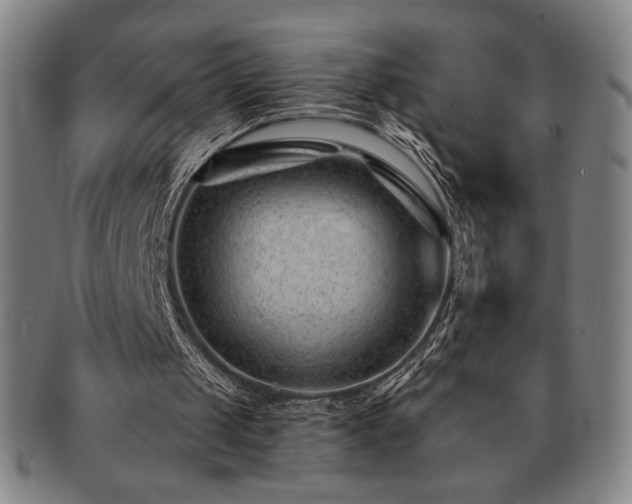 X0000091470049200708231347