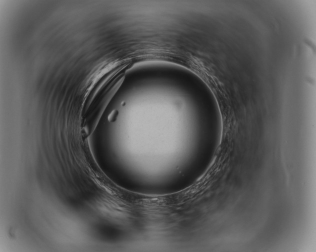 X0000091470050200708231347