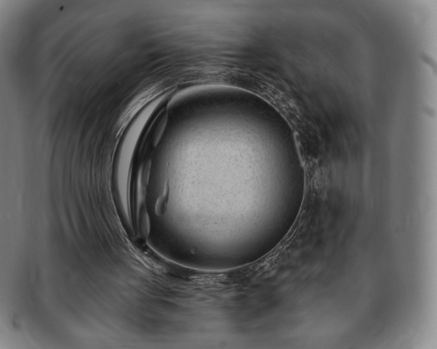 X0000091470051200708231347