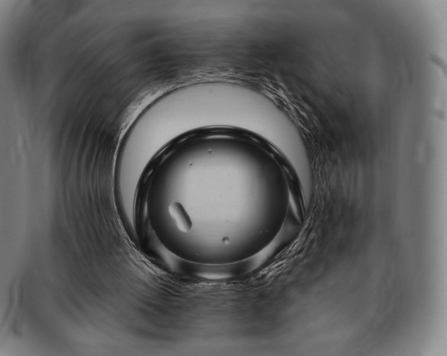 X0000091470052200708231347