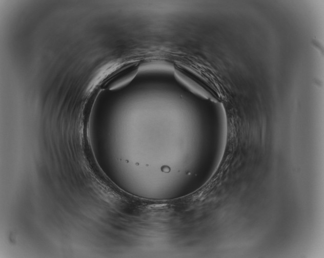 X0000091470054200708231347