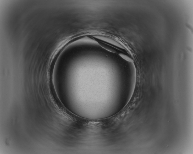 X0000091470055200708231347