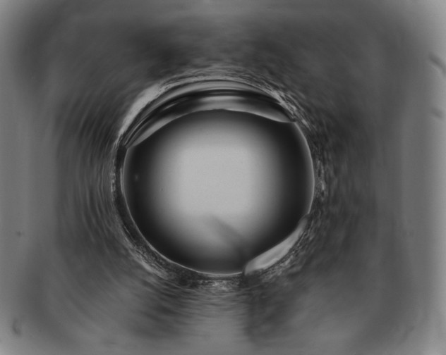 X0000091470056200708231347