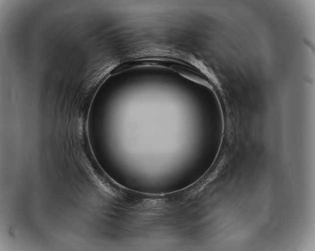 X0000091470057200708231347