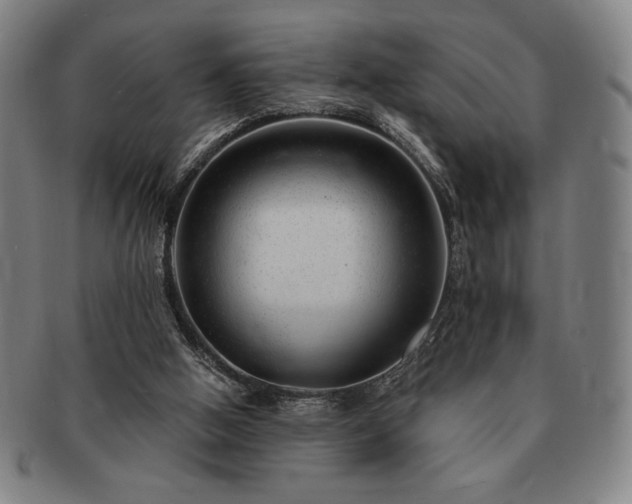 X0000091470058200708231347