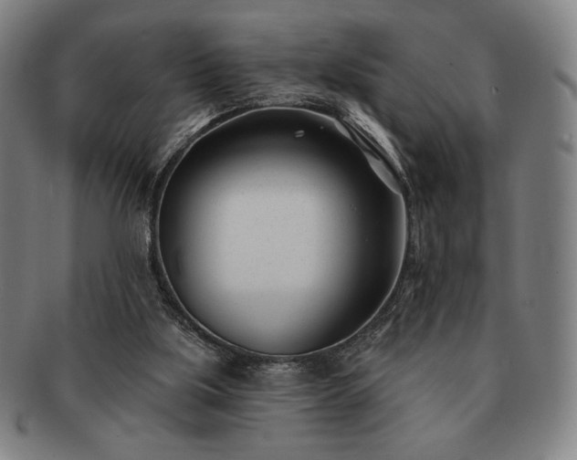 X0000091470059200708231347