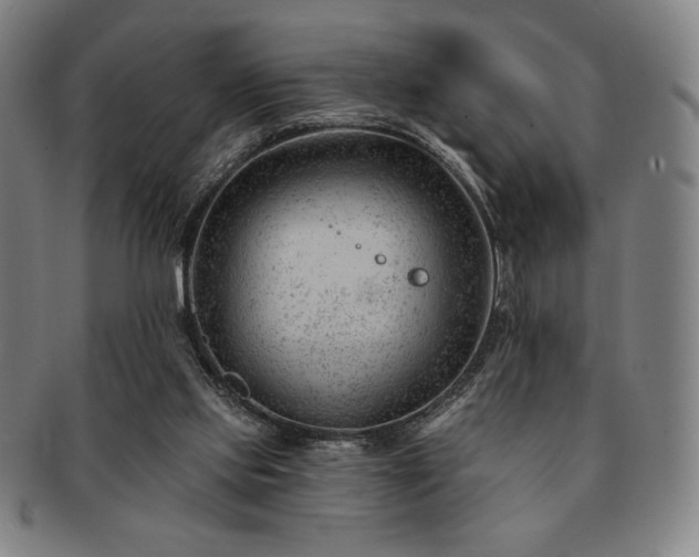 X0000091470061200708231347