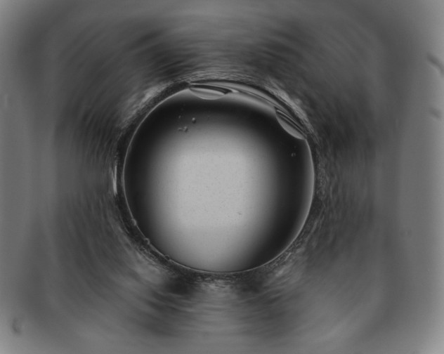 X0000091470062200708231347