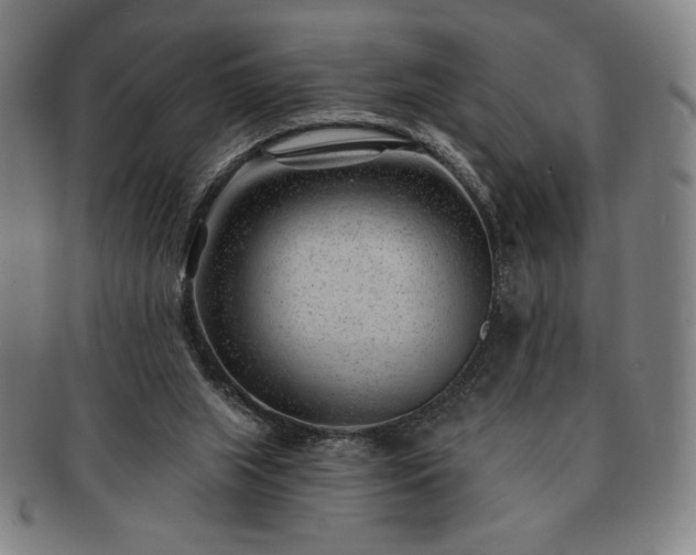 X0000091470063200708231347