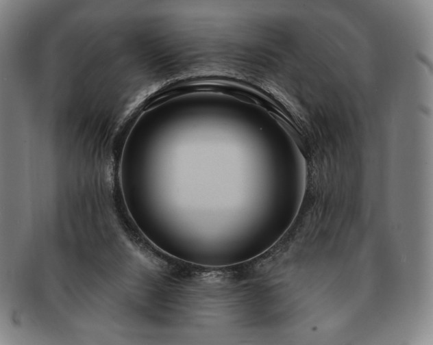 X0000091470064200708231347