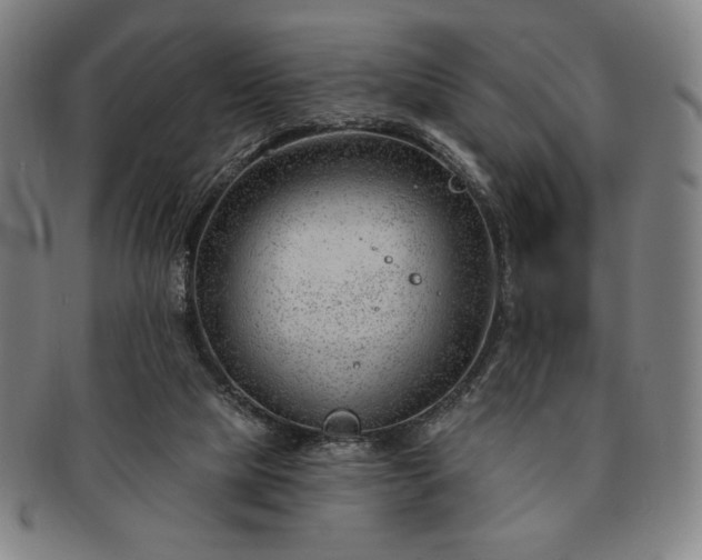 X0000091470065200708231347