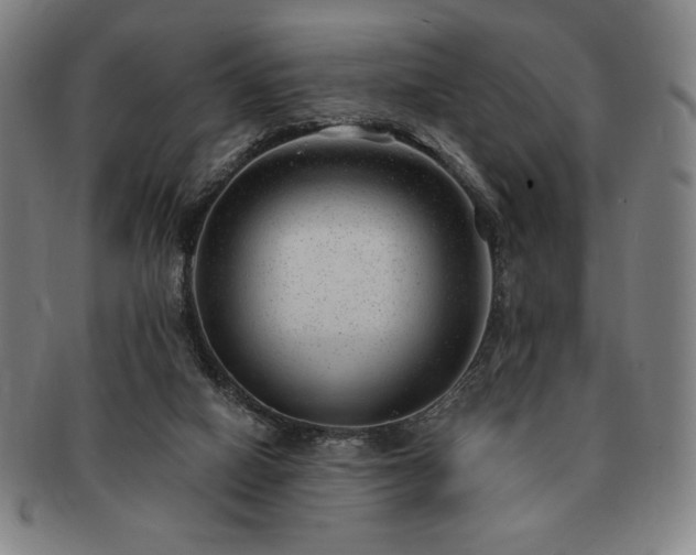 X0000091470066200708231347