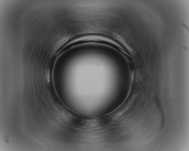 X0000091470068200708231347