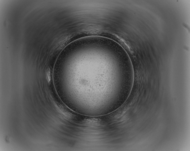 X0000091470069200708231347