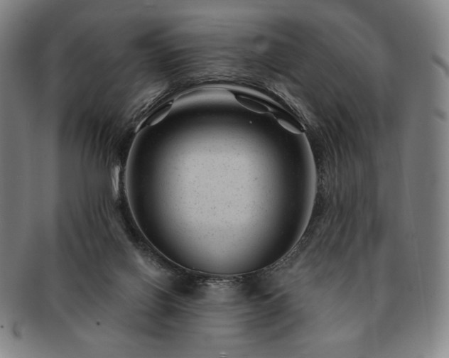 X0000091470070200708231347