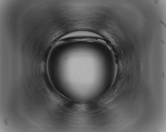 X0000091470071200708231347