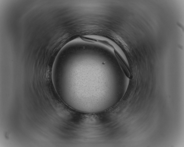 X0000091470073200708231348