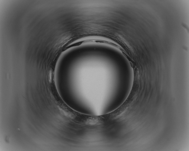 X0000091470076200708231348