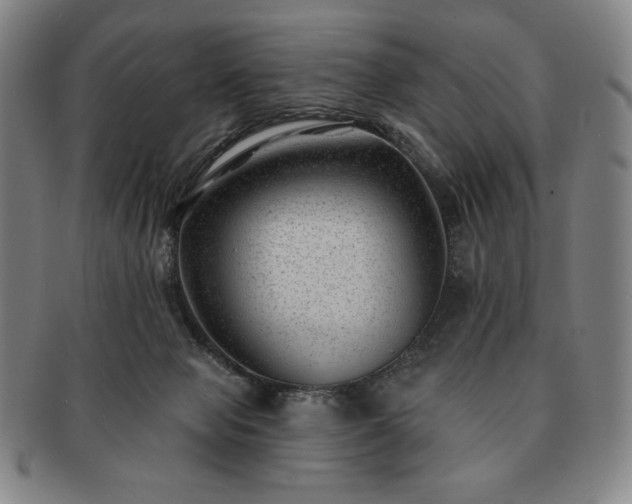 X0000091470077200708231348