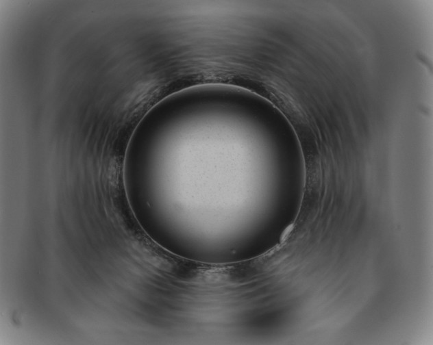 X0000091470078200708231348