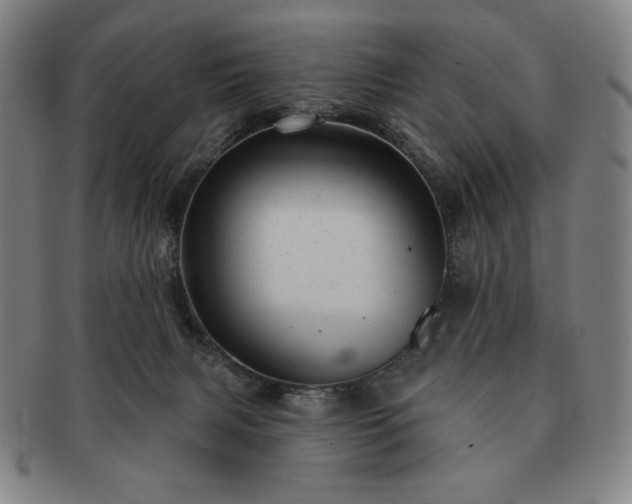 X0000091470079200708231348