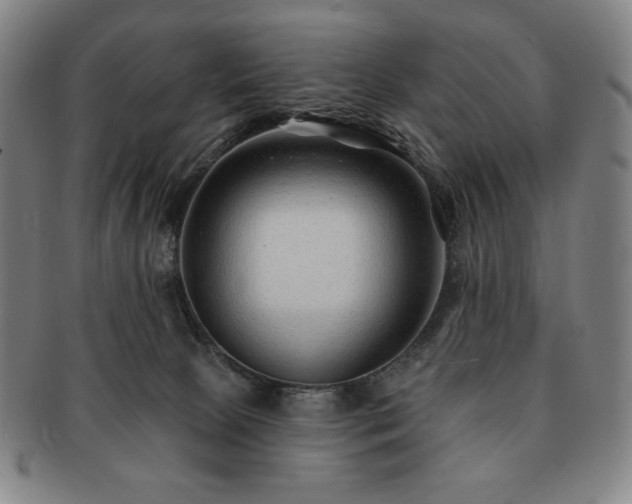 X0000091470081200708231348