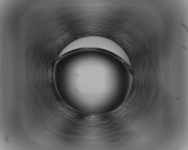 X0000091470082200708231348