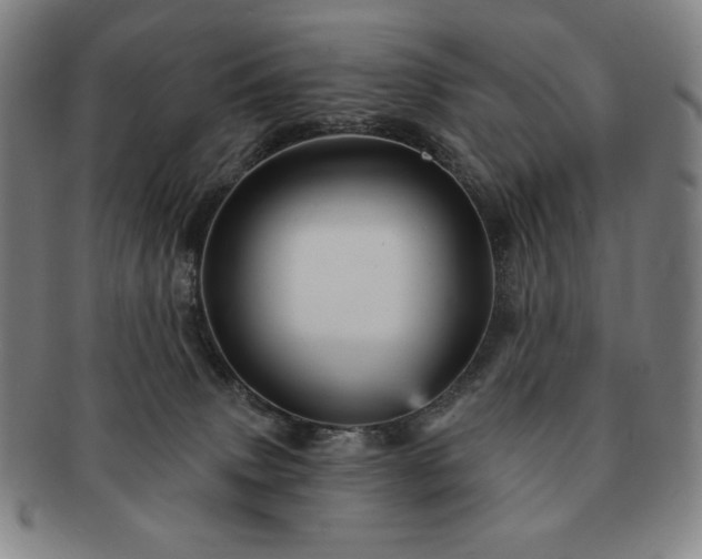 X0000091470083200708231348