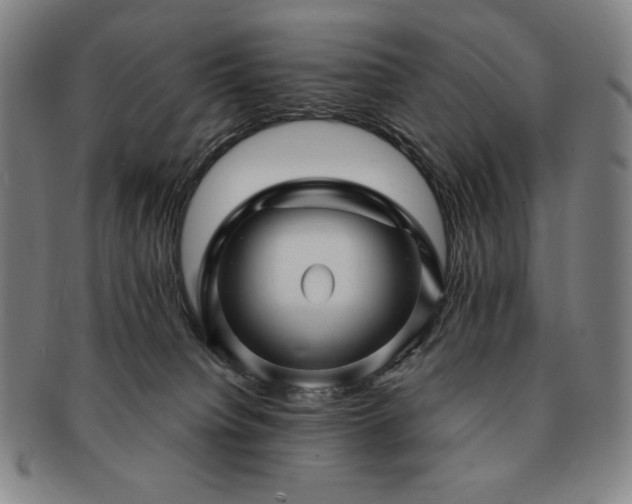 X0000091470084200708231348