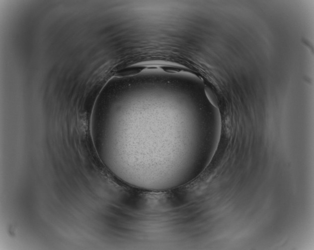 X0000091470085200708231348